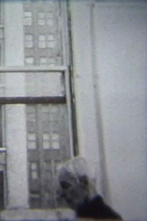 Edwin Denby (1978) poster