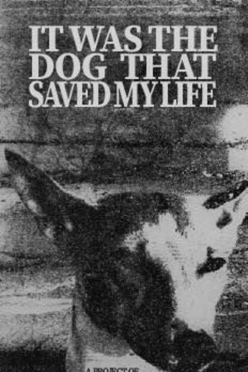 It Was the Dog That Saved My Life (2020) poster