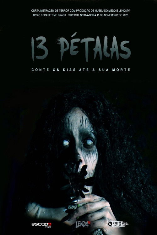 13 Pétalas (2020) poster