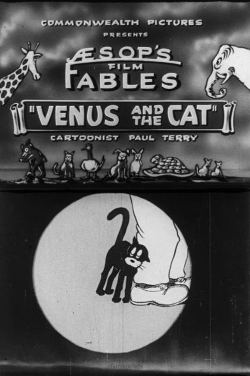 Venus and the Cat (1921) poster