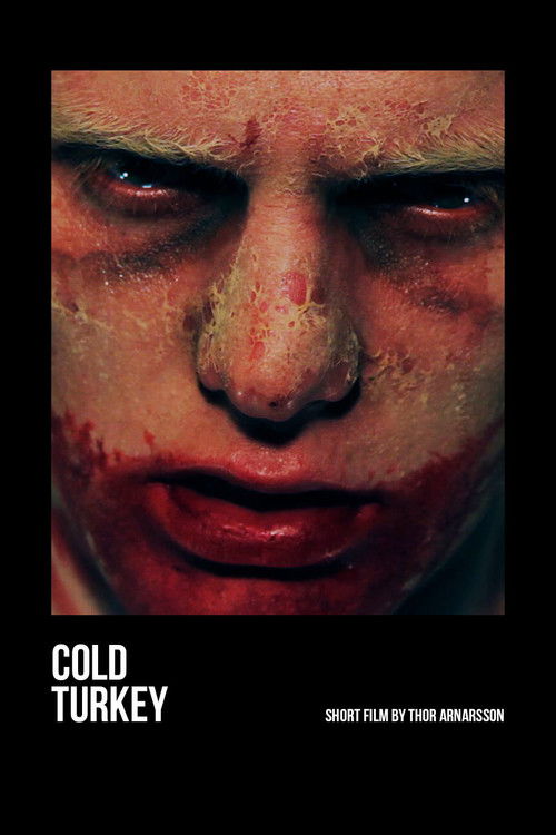 Cold Turkey (2013) poster