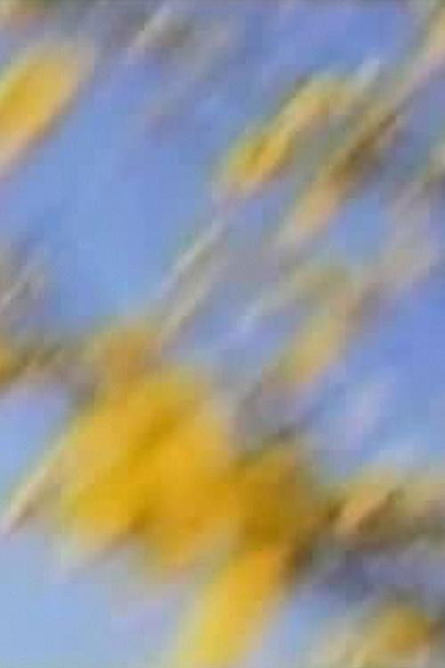 I Want to See How You See (2003) poster