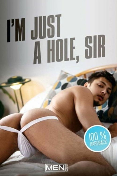 I'm Just A Hole, Sir (2023) poster