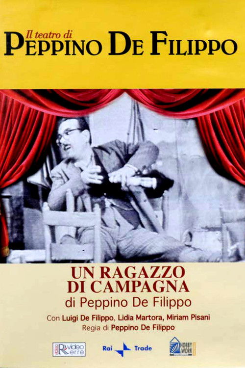 Un ragazzo di campagna (1959) poster