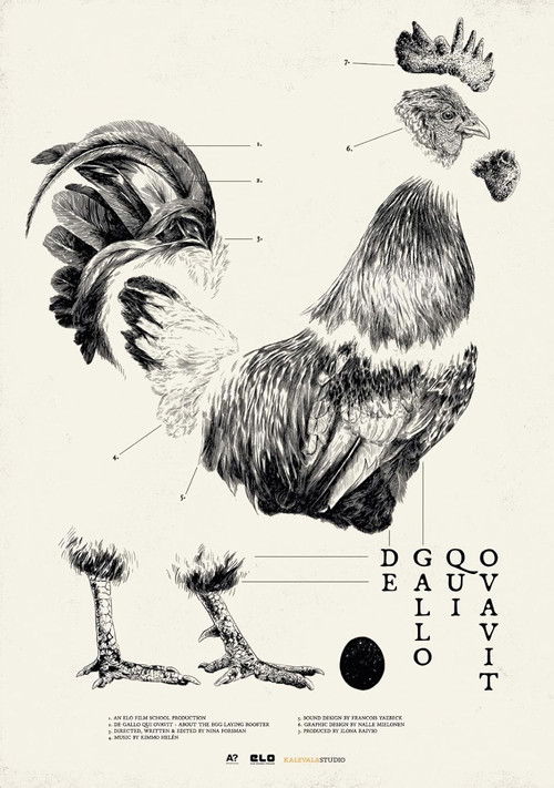 De Gallo Qui Ovavit (2024) poster