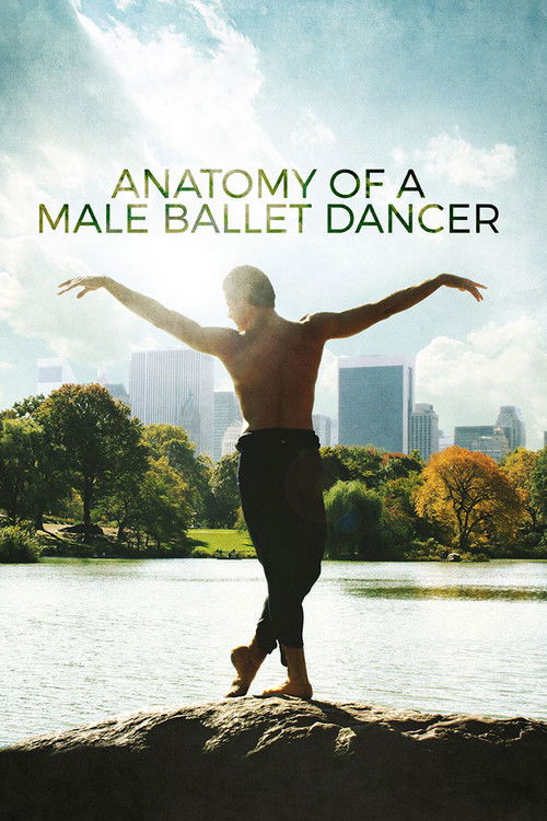 Anatomy of a Male Ballet Dancer (2017) poster
