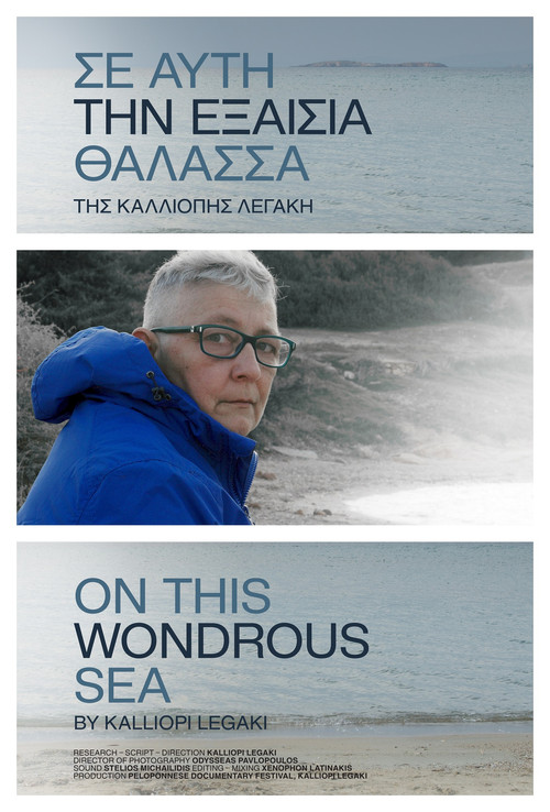 On This Wondrous Sea (2023) poster