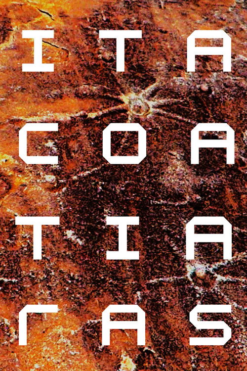 ITACOATIARAS (2025) poster