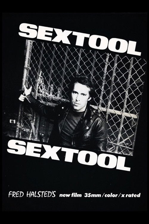 Sextool (1975) poster