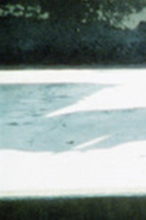 Costa de Lavos (1991) poster