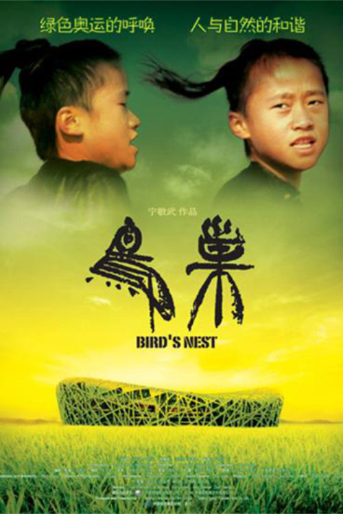 Bird's Nest (2008) poster