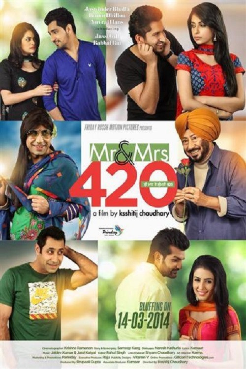 Mr & Mrs 420 (2014) poster