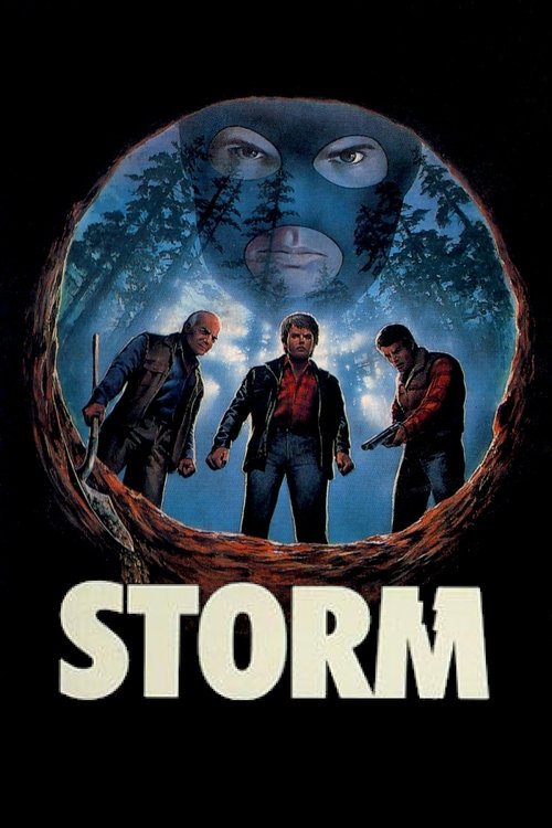 Storm (1987) poster