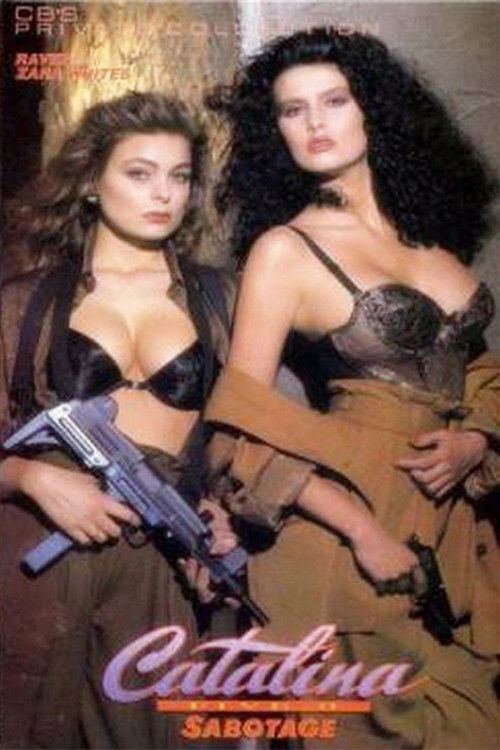 Catalina Five-0: Sabotage (1990) poster