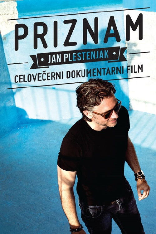 Jan Plestenjak: I Admit (2013) poster