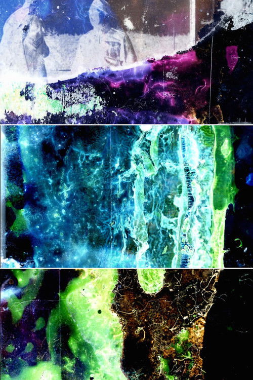 Le bulbe tragique (2016) poster