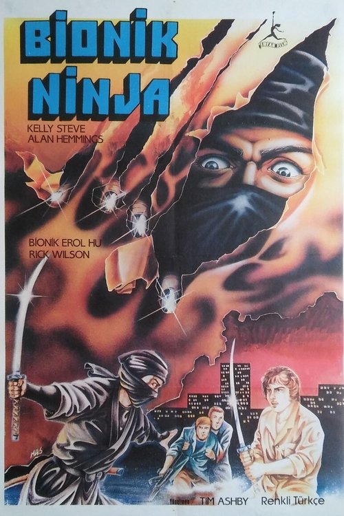 Ninja Assassins (1985) poster