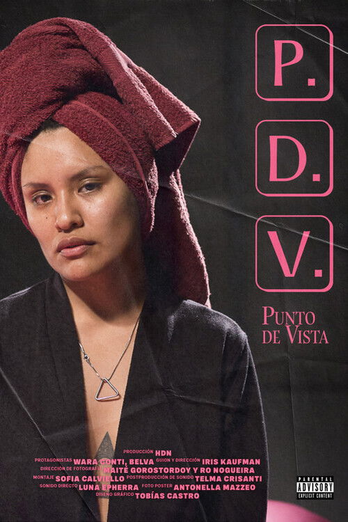 PDV (Punto de vista) (2023) poster