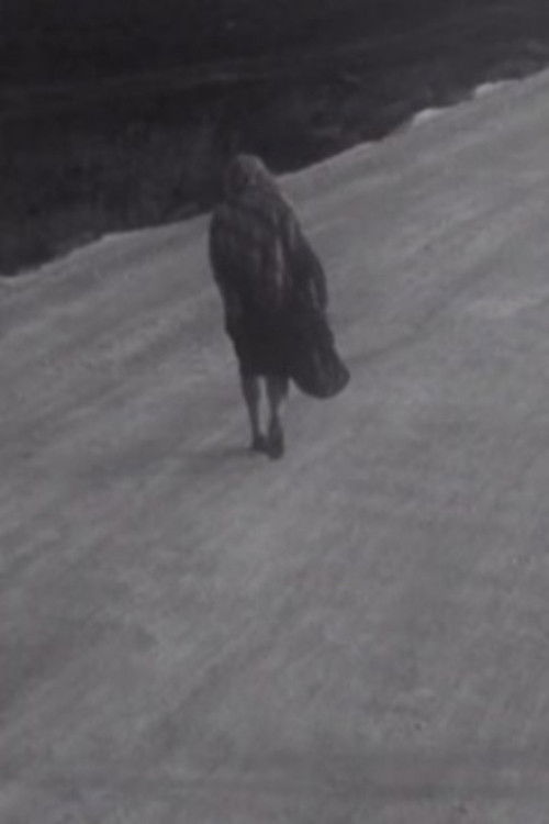 Man and Woman (1965) poster