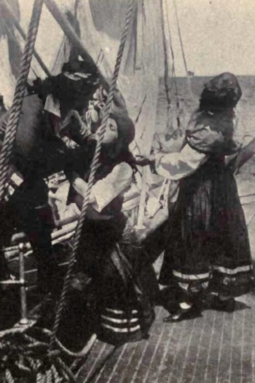 The Rose of Old St. Augustine (1911) poster