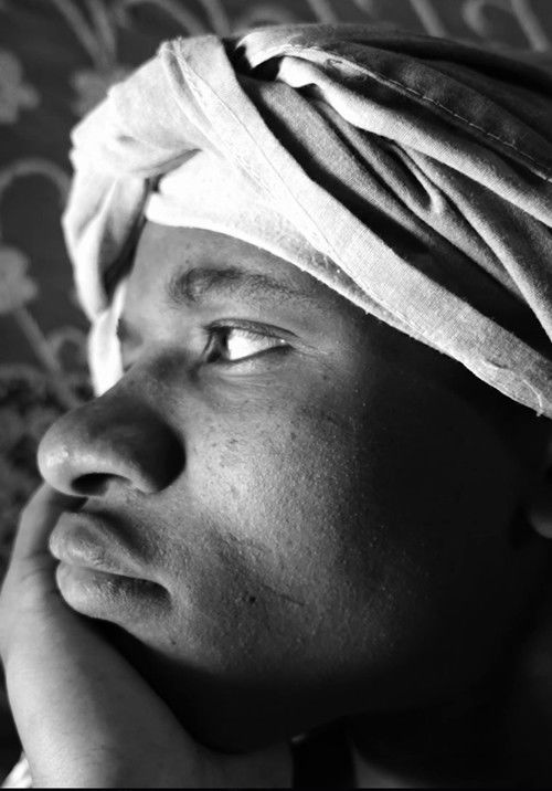 The Problem With Dogs (2025) poster