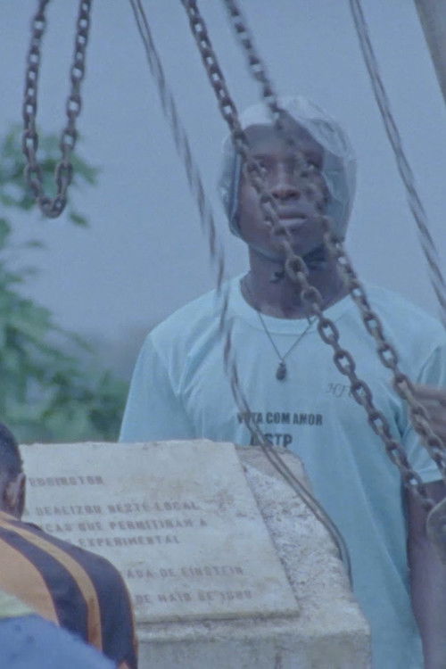 Action at a Distance (2012) poster