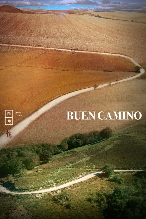 Buen Camino (2020) poster