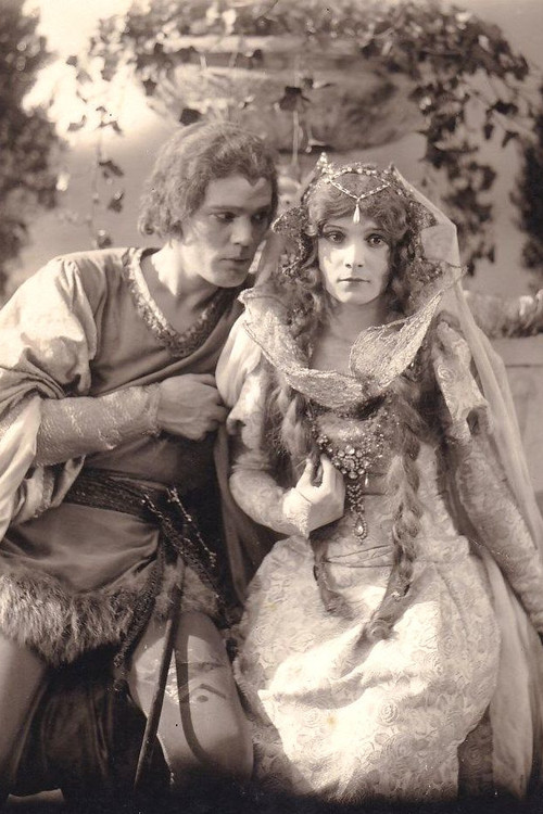 For Woman's Favor (1924) poster