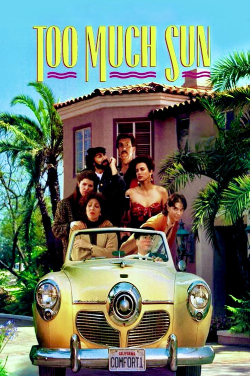 Too Much Sun (1991) poster
