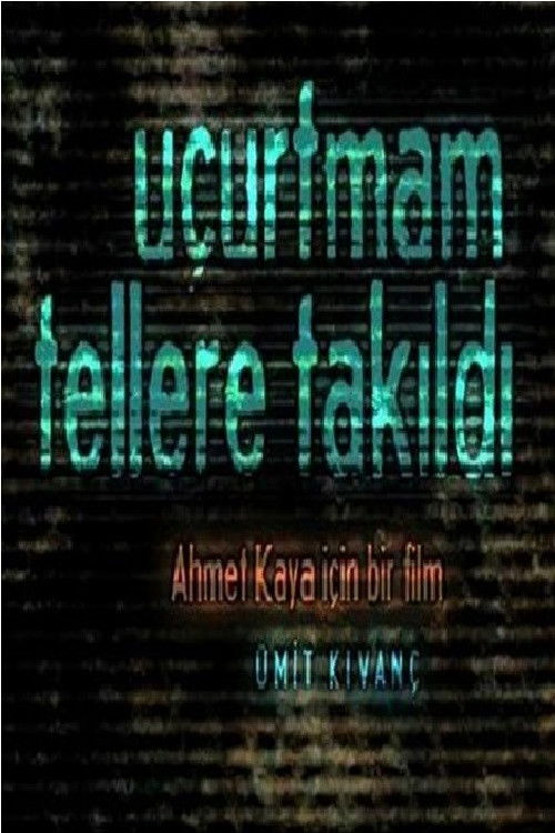 Uçurtmam Tellere Takıldı (2010) poster