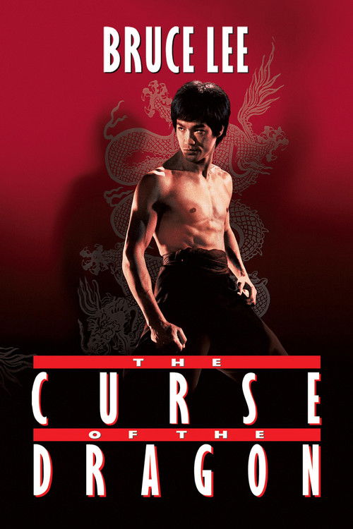 The Curse of the Dragon (1993) poster
