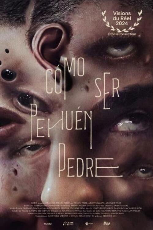 How to Be Pehuén Pedre (2024) poster