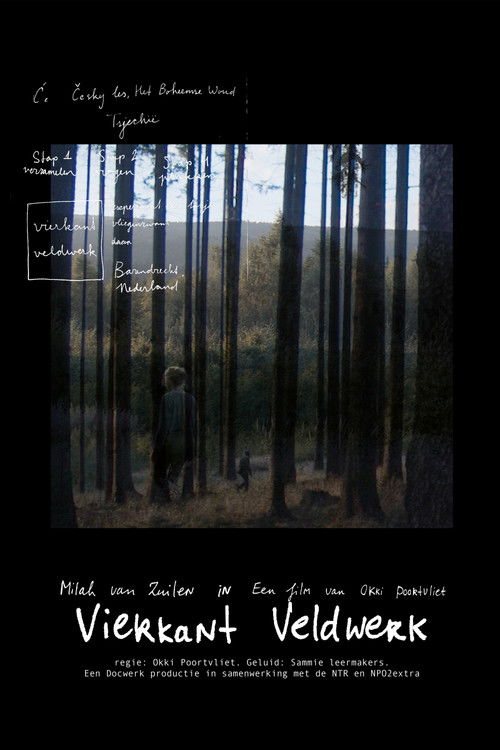 Square Fieldwork (2022) poster