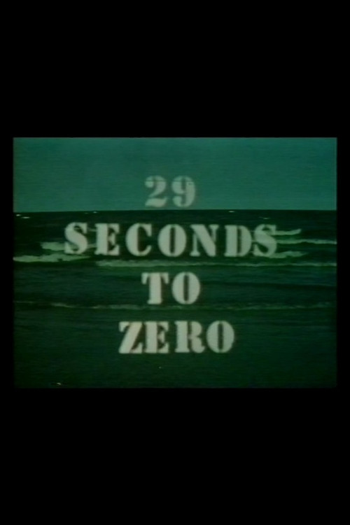 29 Seconds To Zero (1979) poster