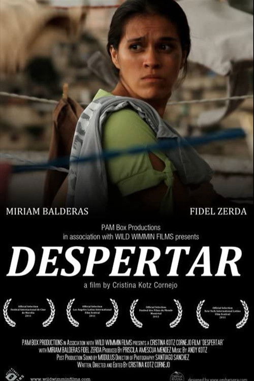 Despertar (2011) poster