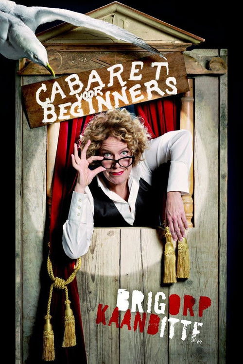 Brigitte Kaandorp: Cabaret voor beginners (2014) poster