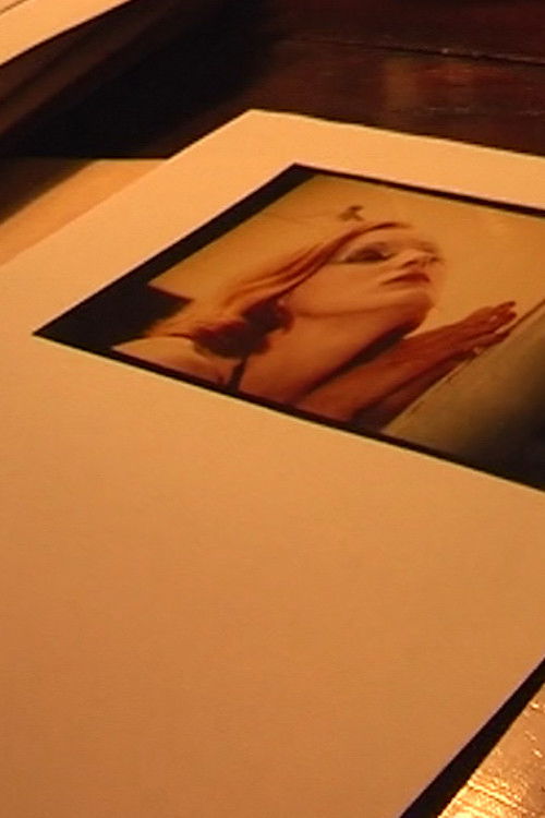 Begegnung mit Werner Schroeter (2003) poster