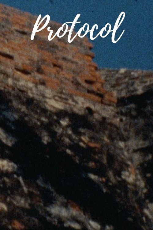 Protocol (2011) poster