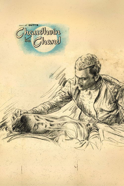 चौदहवीं का चाँद (1960) poster