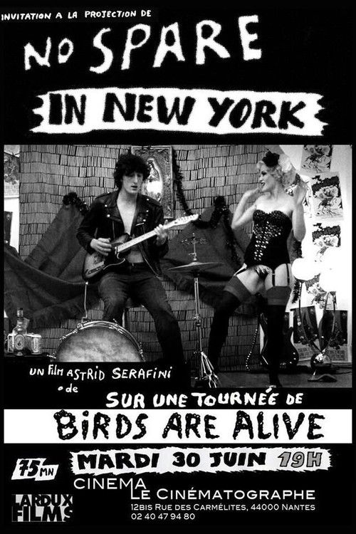 No Spare in New-York (2015) poster