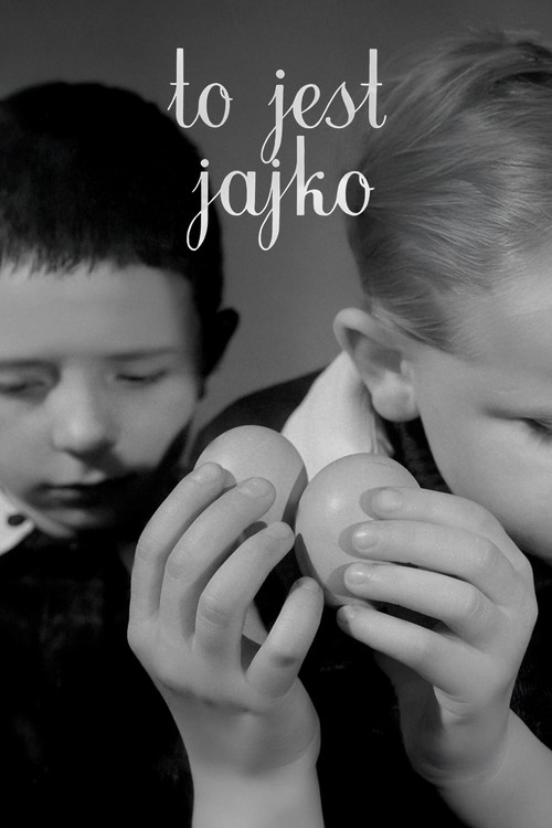 To jest jajko (1965) poster