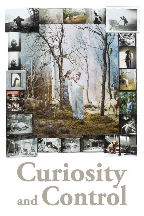 Curiosity and Control (2018) poster