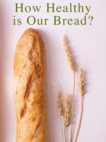 How Healthy Is Our Bread? (2018) poster
