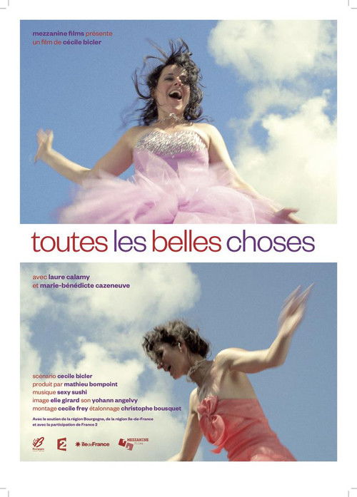 Toutes les belles choses (2013) poster