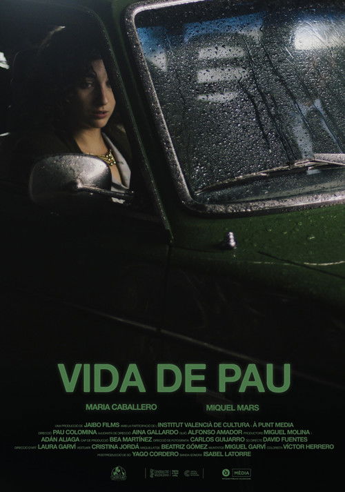Vida de pau poster