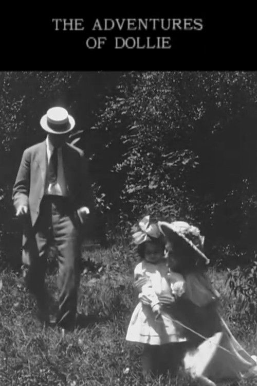 The Adventures of Dollie (1908) poster