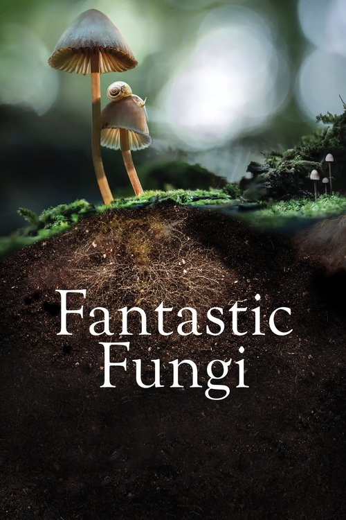 Fantastic Fungi (2019) poster