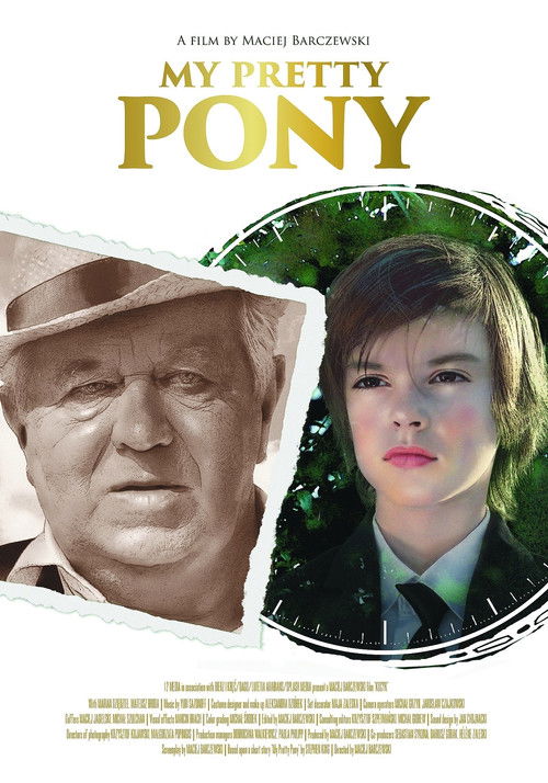 My Pretty Pony (2017) poster