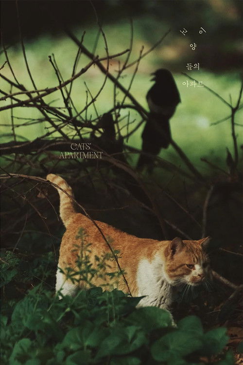 Cats' Apartment (2022) poster
