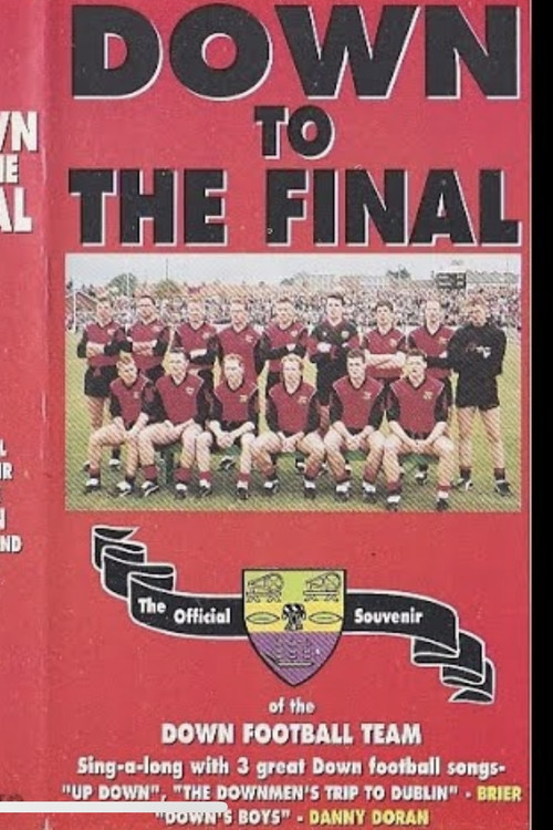 Down To The Final (1994) poster